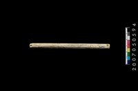 藏品(兩端帶穿玉棒)的圖片