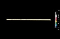 藏品(兩端帶穿玉棒)的圖片