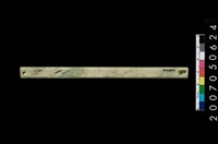 藏品(兩端帶穿玉棒)的圖片