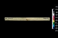 藏品(兩端帶穿玉棒)的圖片