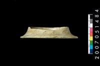 藏品(喇叭型手環)的圖片