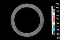 藏品(板岩石環)的圖片