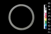 藏品(板岩石環)的圖片