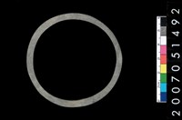 藏品(板岩石環)的圖片