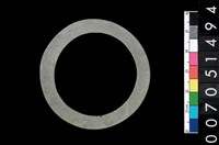 藏品(板岩石環)的圖片