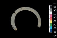 藏品(板岩石環)的圖片