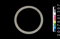 藏品(板岩石環)的圖片