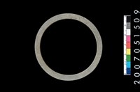 藏品(板岩石環)的圖片