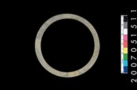 藏品(板岩石環)的圖片