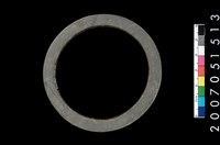 藏品(板岩石環)的圖片