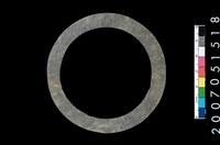 藏品(板岩石環)的圖片