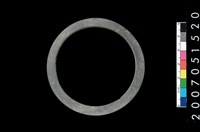 藏品(板岩石環)的圖片