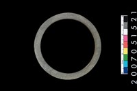 藏品(板岩石環)的圖片