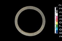 藏品(板岩石環)的圖片