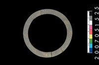 藏品(板岩石環)的圖片