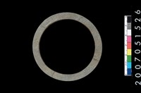 藏品(板岩石環)的圖片