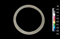 藏品(板岩石環)的圖片