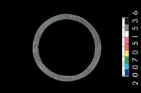 藏品(板岩石環)的圖片