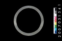 藏品(板岩石環)的圖片