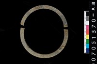 藏品(板岩石環)的圖片