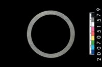 藏品(板岩石環)的圖片