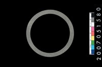 藏品(板岩石環)的圖片