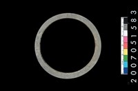 藏品(板岩石環)的圖片