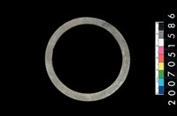 藏品(板岩石環)的圖片