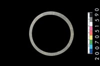 藏品(板岩石環)的圖片