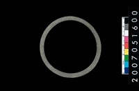 藏品(板岩石環)的圖片