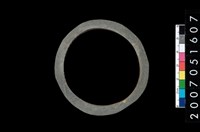 藏品(板岩石環)的圖片