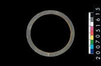 藏品(板岩石環)的圖片