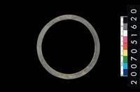 藏品(板岩石環)的圖片