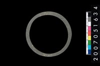 藏品(板岩石環)的圖片