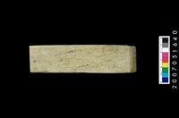 藏品(玉錛)的圖片