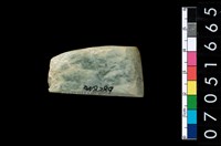 藏品(玉錛)的圖片