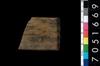 藏品(玉錛)的圖片