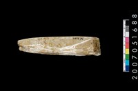 藏品(玉鑿)的圖片