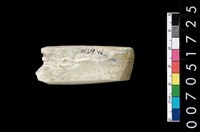 藏品(玉鑿)的圖片