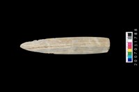 藏品(石矛)的圖片