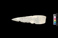 藏品(石矛)的圖片