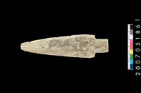 藏品(石矛)的圖片