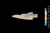 藏品(石矛)的圖片