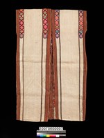 藏品(男子無袖長衣)的圖片