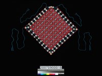 藏品(男子胸兜)的圖片