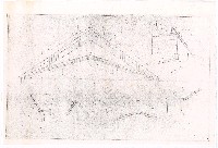 藏品(建築圖)的圖片