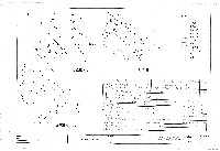 藏品(建築圖)的圖片