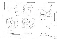 藏品(建築圖)的圖片