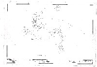 藏品(建築圖)的圖片