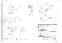 藏品(建築圖)的圖片